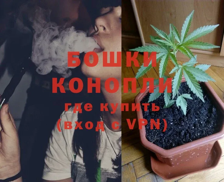 купить наркоту  кракен зеркало  Конопля OG Kush  Тосно 